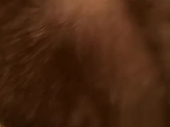 Kinky bottom bitch loves jerking off his stiff schlong