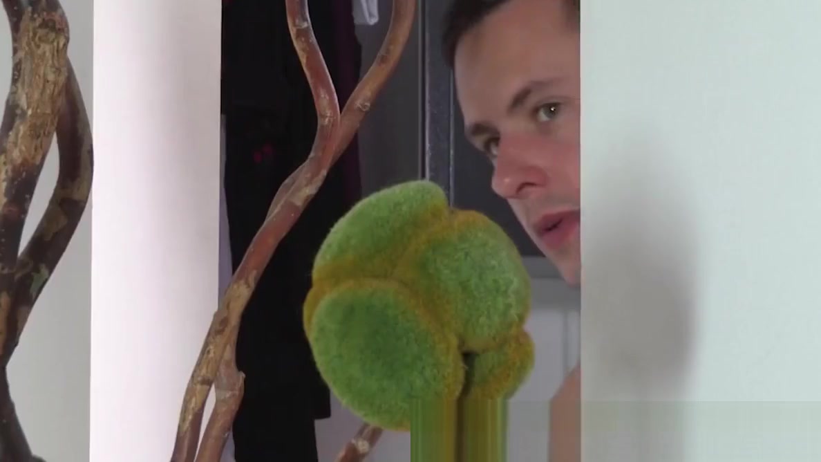 FalconStudios Roommates Enjoying Their Big Cocks