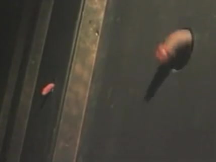 Hot kinky cock sucking threesome