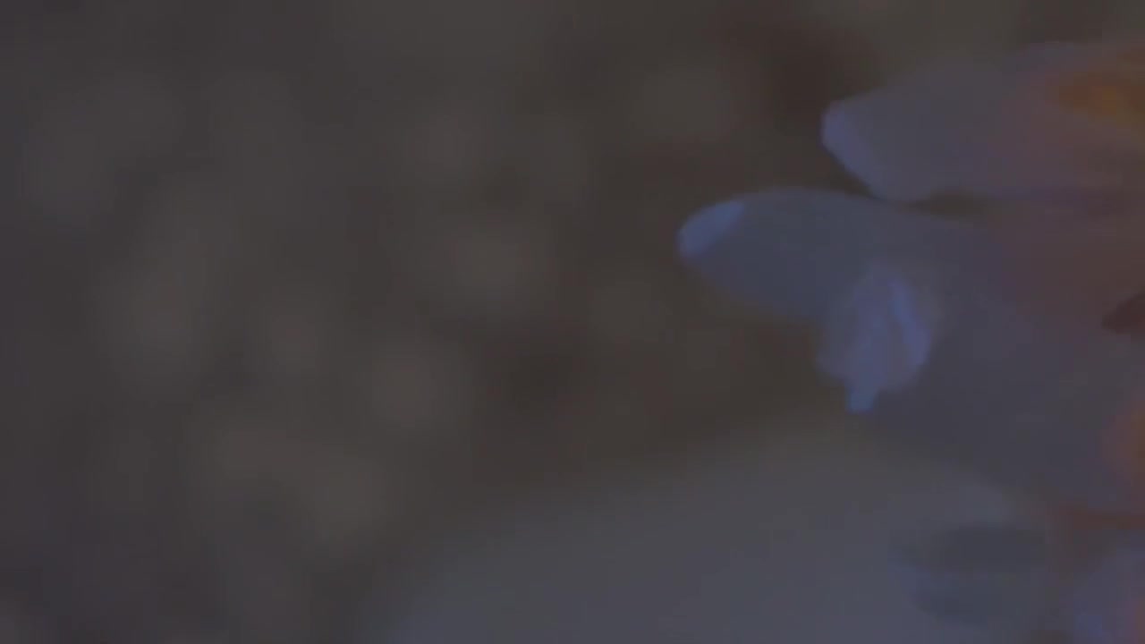 目光推拿 Staring Massage
