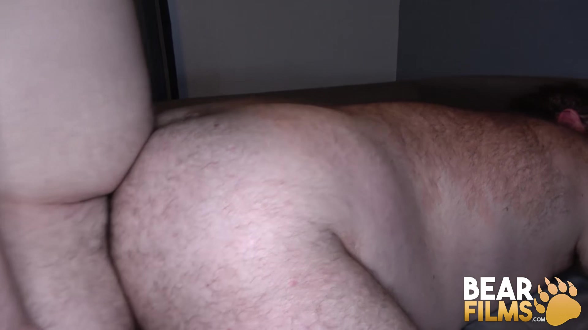 BEARFILMS Fat Bears Harrison Burns And Bjorn Johnsson Breed