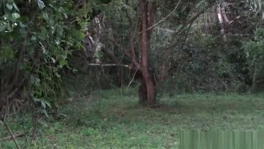 Amateur army muscle banged outdoors