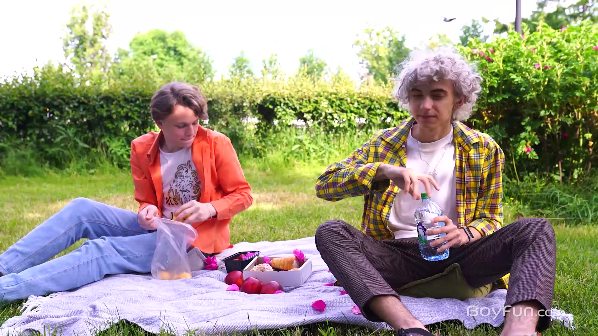 Picnic Pleasures - BoyFun