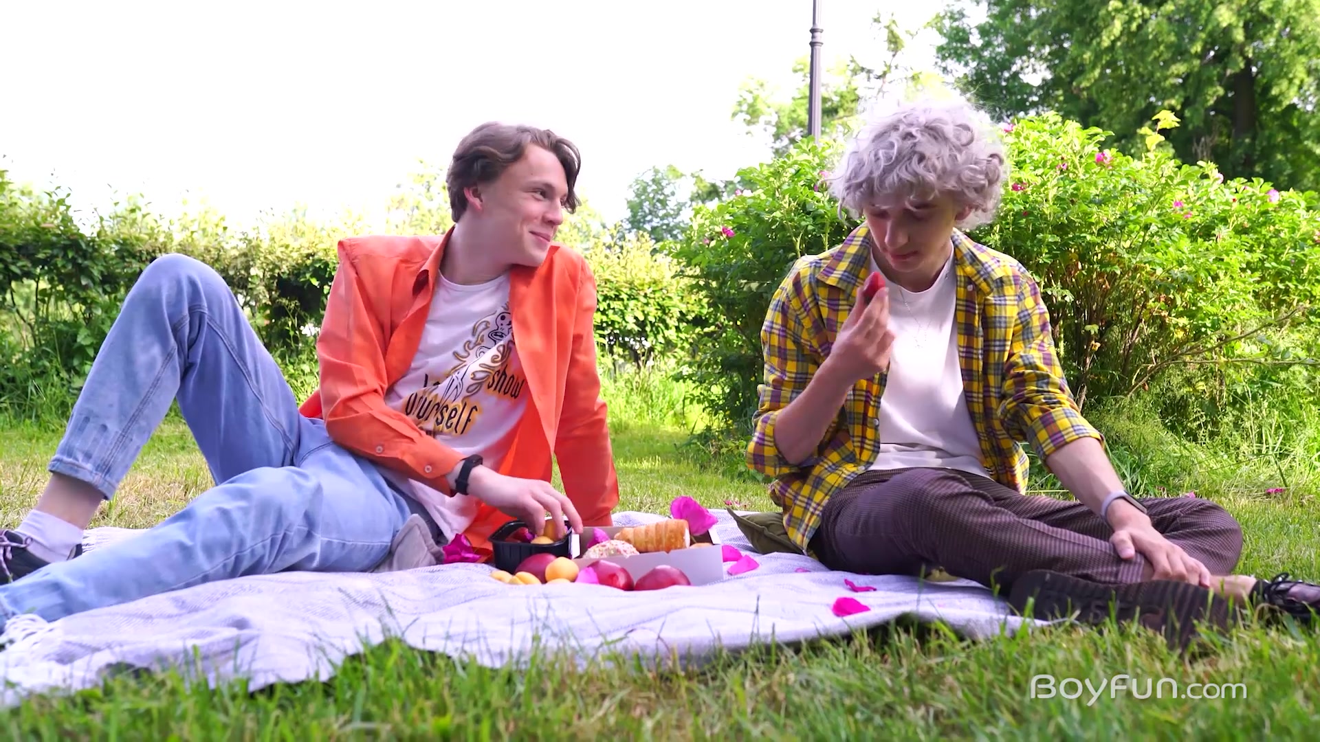 Picnic Pleasures - BoyFun