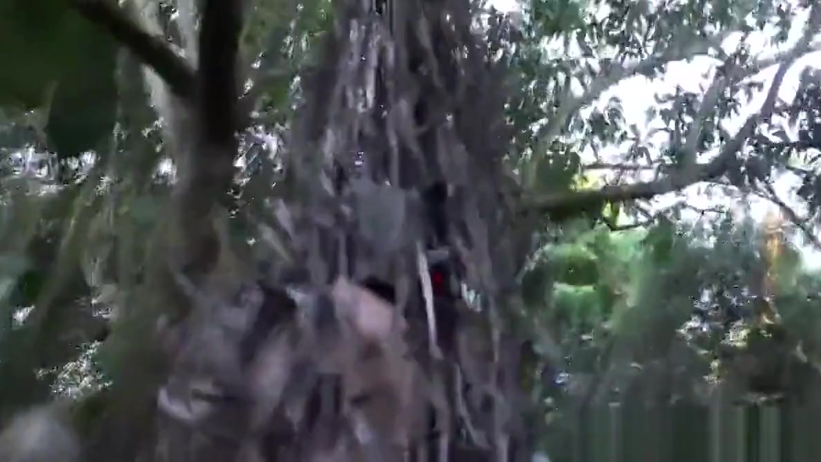 Military hunk humiliated in outdoors fuck
