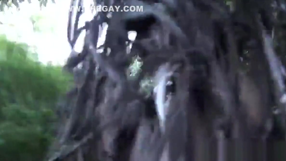Military hunk humiliated in outdoors fuck