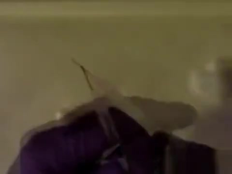 Shane gets injections from doctor