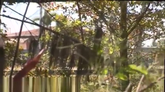 Gay porn shower boys movietures Hialeah Ass