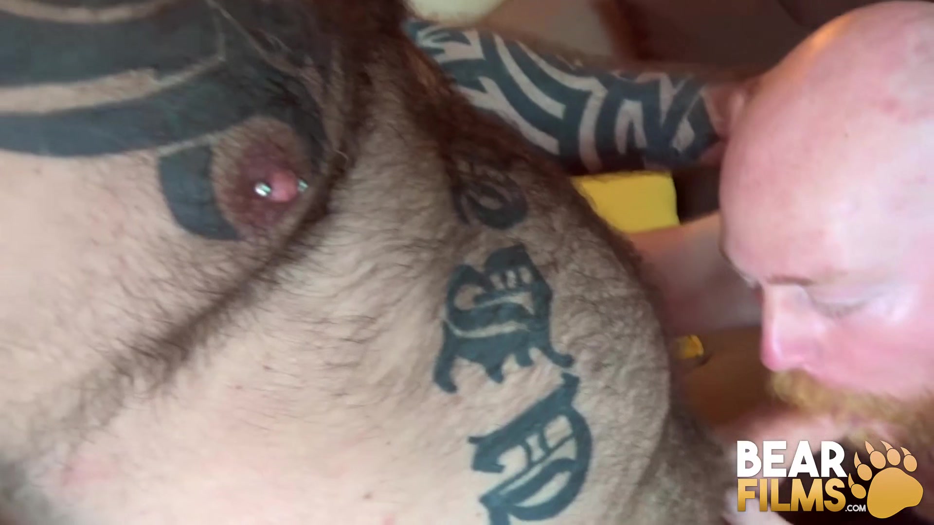 BEARFILMS Fat Hairy Bears Bareback In Hardcore Compilation