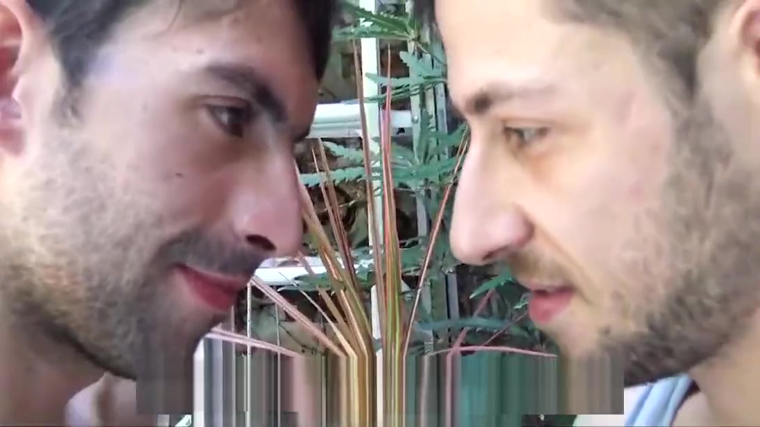 LatinLeche - Two hotel strangers agree to fuck on cam for ca