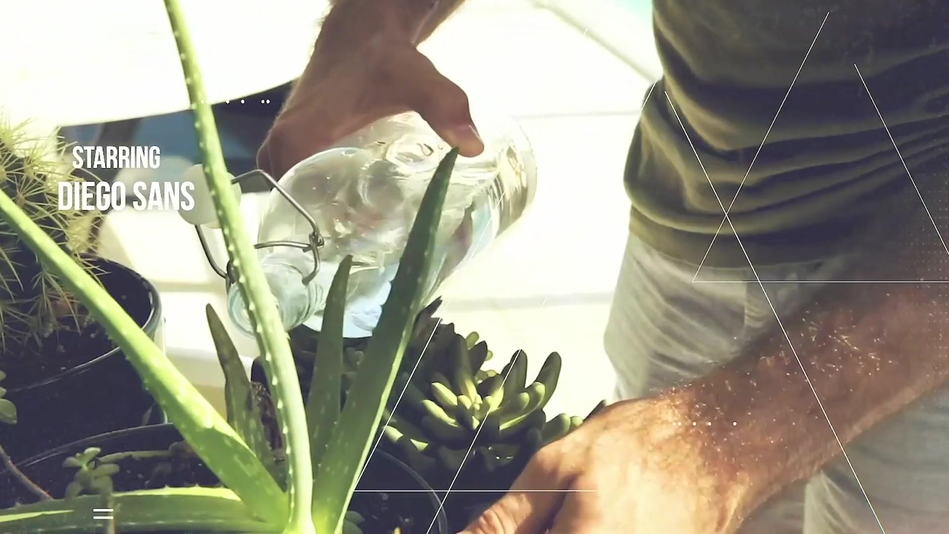 The Gardener