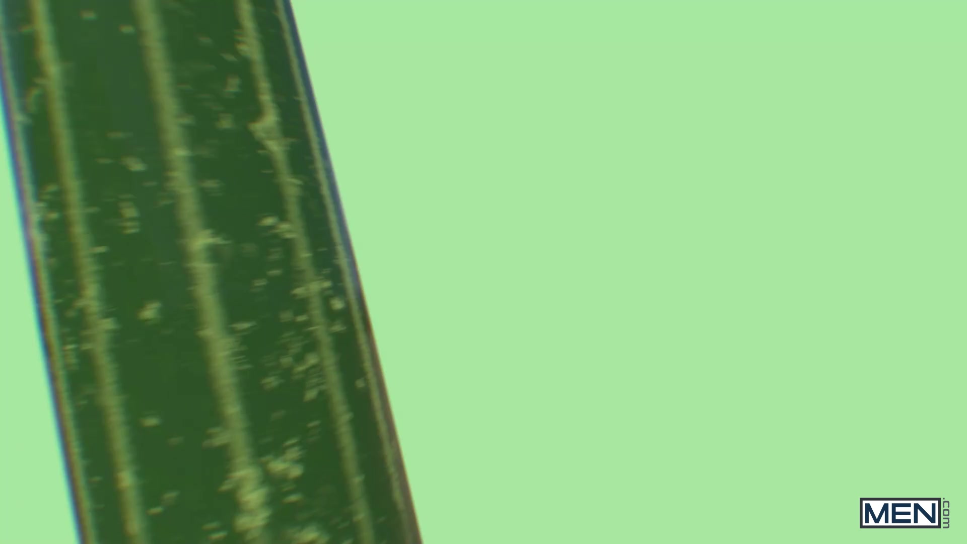 Cockumber