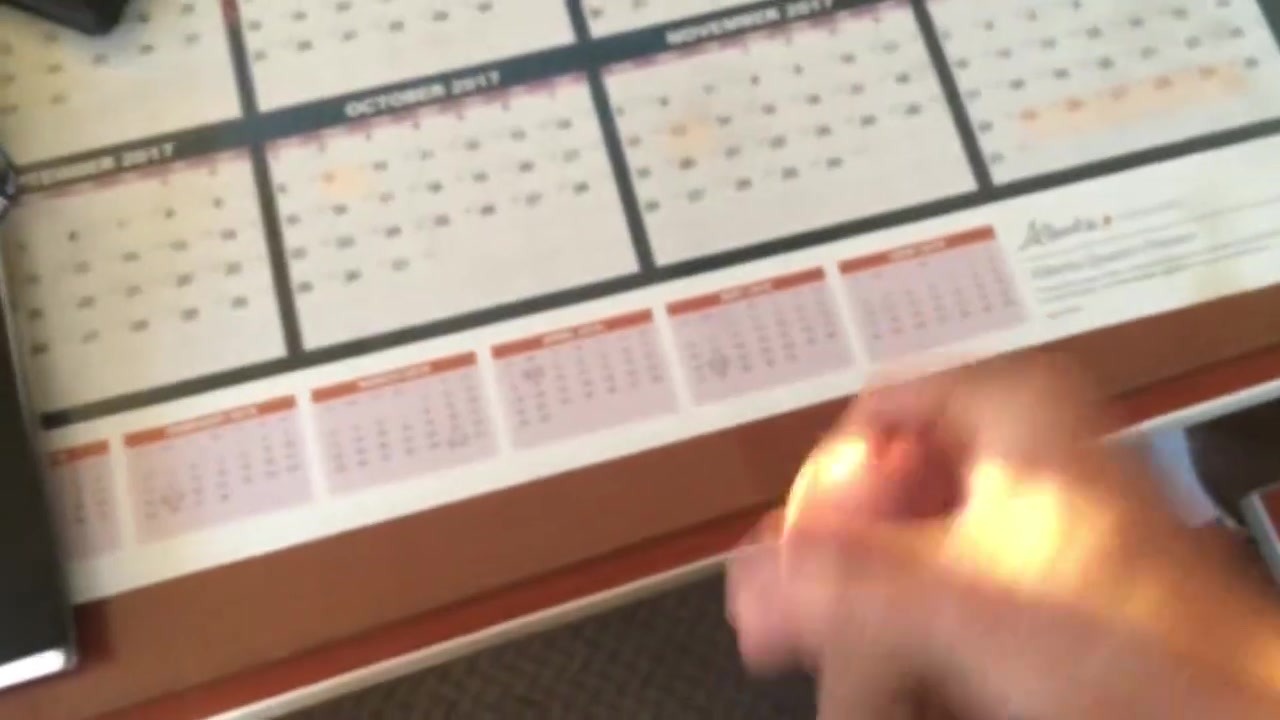 okamisama in office