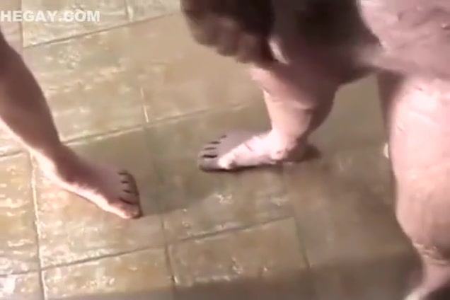 bear Step daddy goes to gym shower