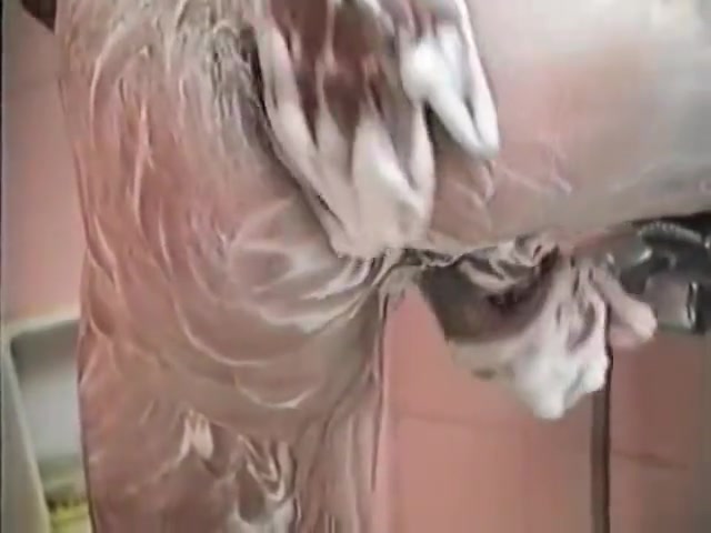 Spanish guy - Shower wank
