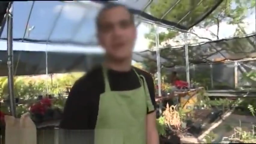 Brunette Guys Out in Public