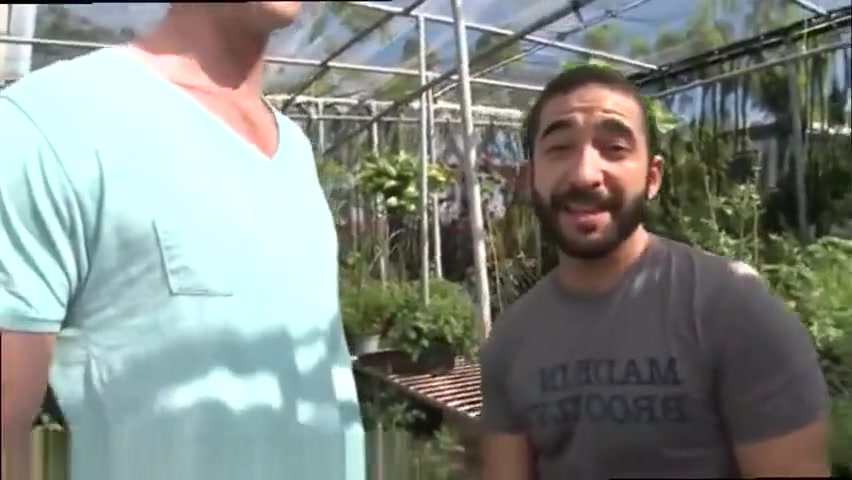 Brunette Guys Out in Public