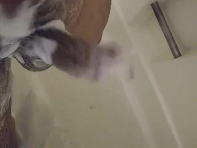Your shower Dildo