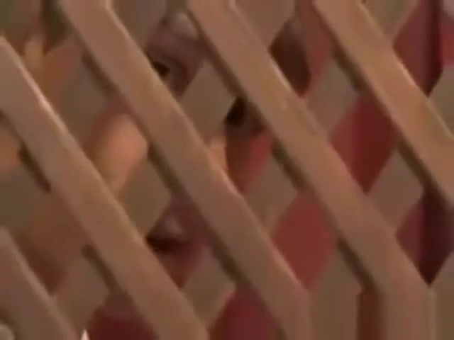 Bareback Gloryhole Fun