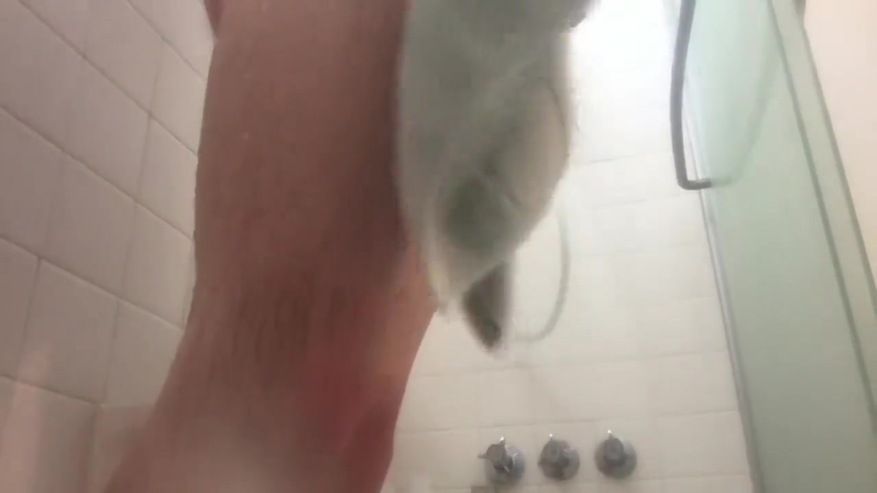 Shower time, fun time