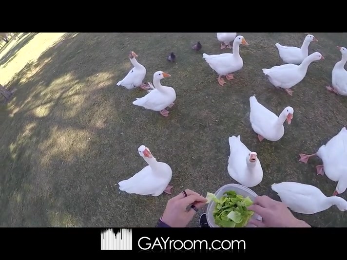 Picnic and a 9-inch Dick - MenPOV