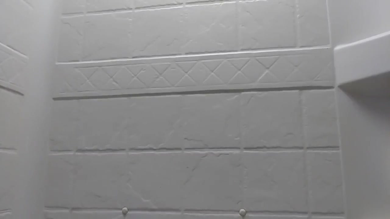The Shower Scene