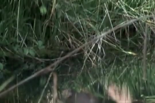 ARMYBOYS the fuck movie