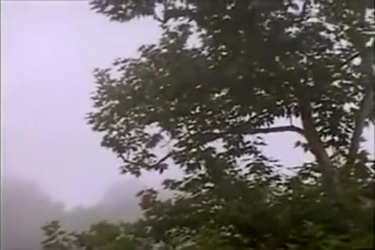 Frank goes for a run and showers