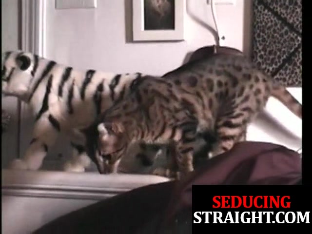 Athletic straighty gets tugged and fingered during blowjob