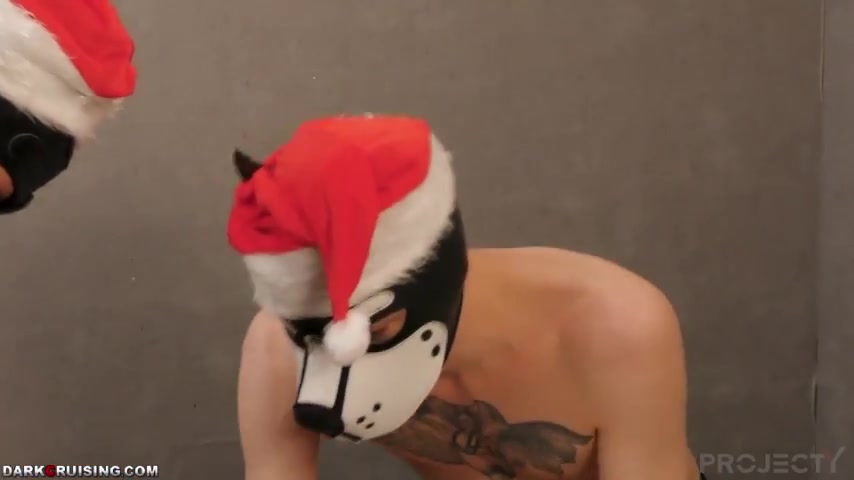 The Christmas Gift, Zephi Gehts His New Cock