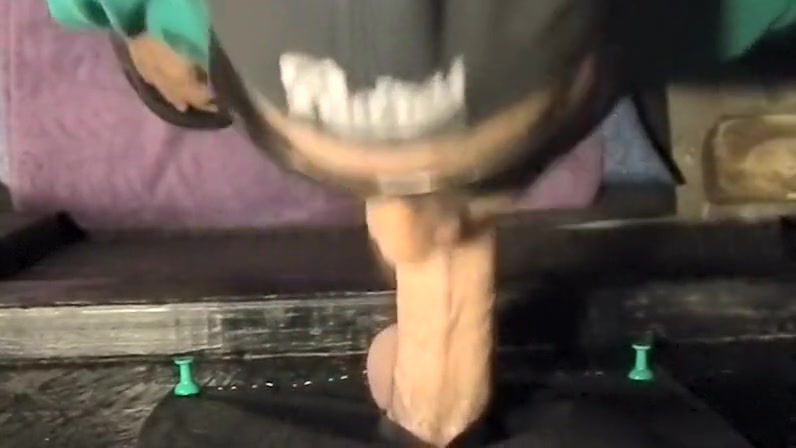 Glory Hole Blowjobs