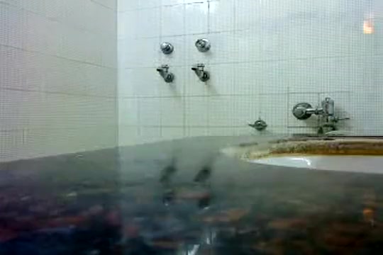 Spy Shower