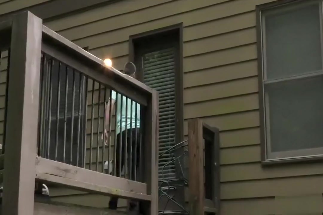 Twink neighbour dude Johnny Rapid loves hardcore anal sex