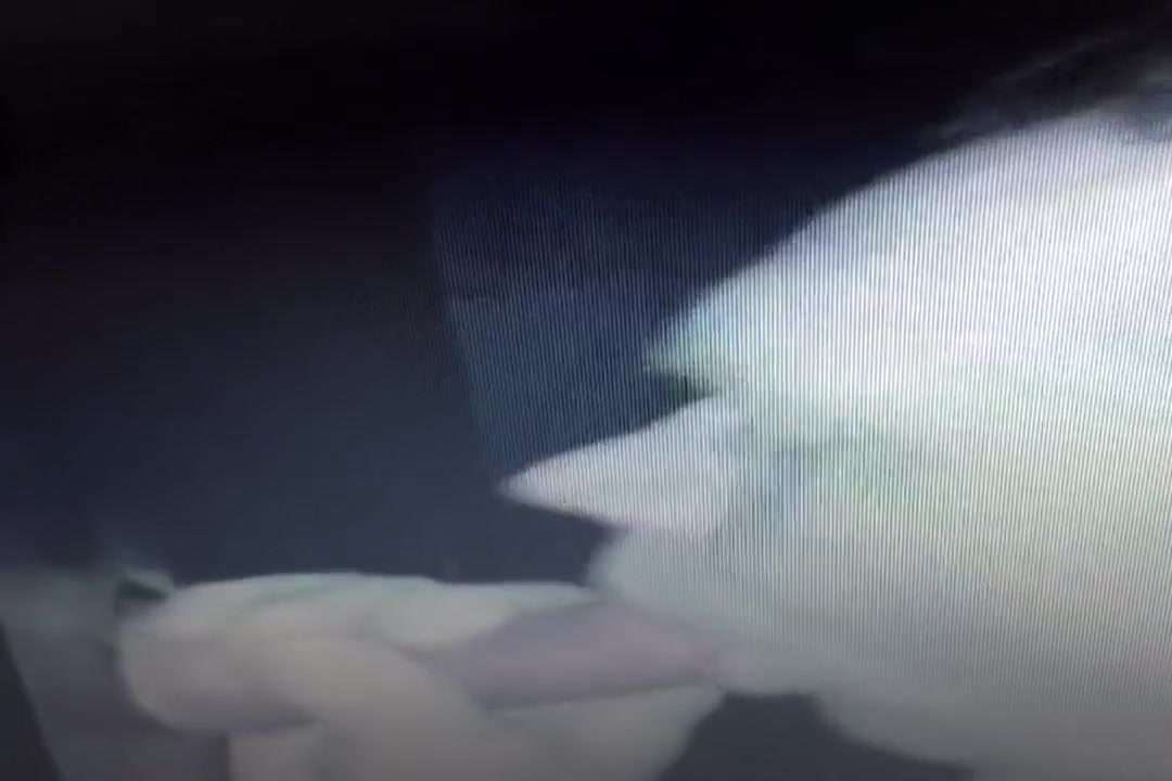 Gloryhole 2