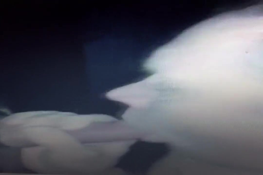 Gloryhole 2