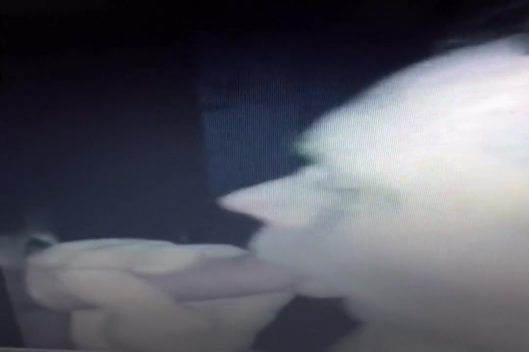 Gloryhole 2