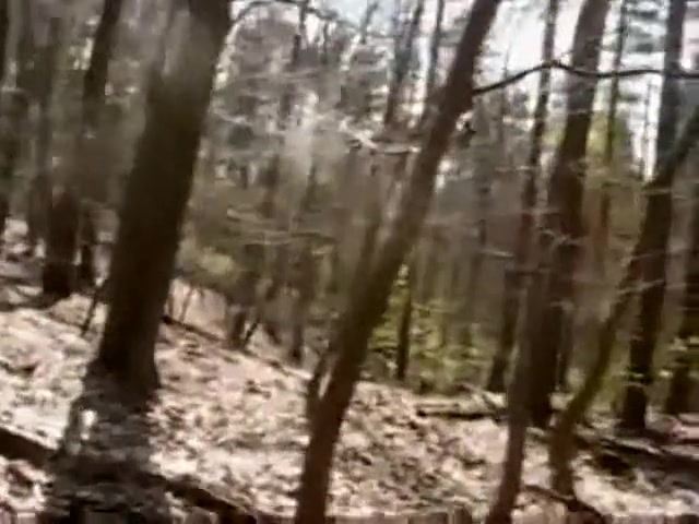 Kink Lads In The Woods