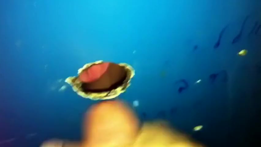 Gloryhole 2