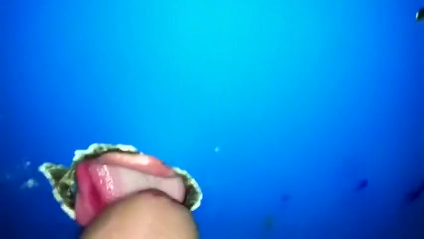 Gloryhole 2