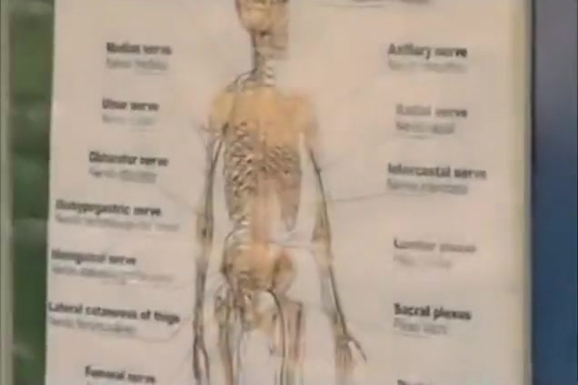 My Doctors So Sexy