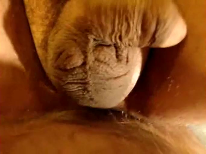 Gay anus fucking toying and fisting