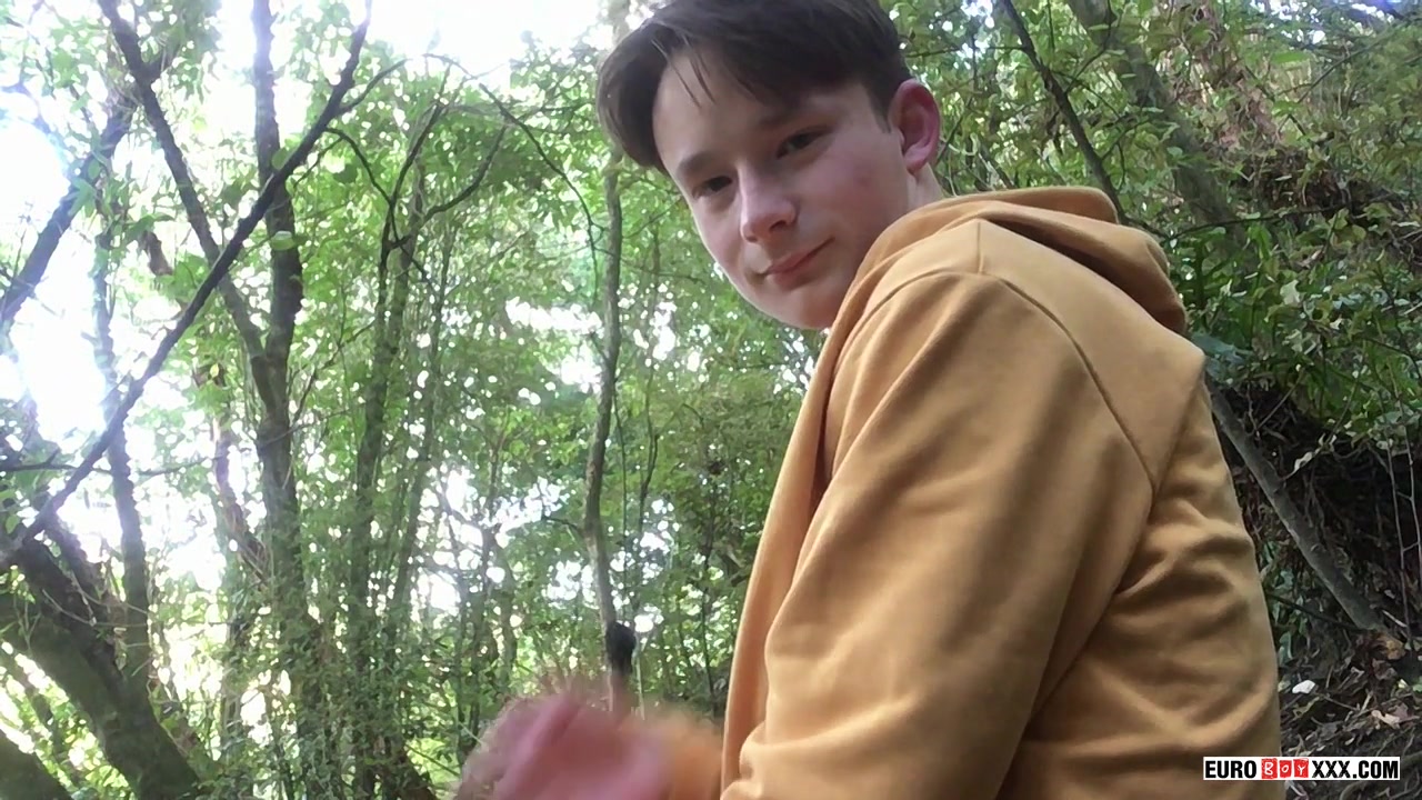 Adventurous Boy In The Woods - Andy Companion