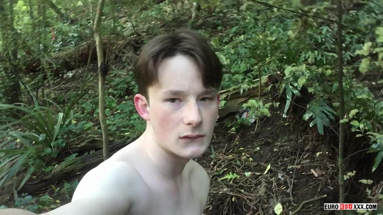 Adventurous Boy In The Woods - Andy Companion