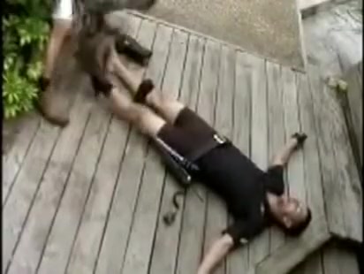 Cop Pigs Bear And Officer - Yes Sir!