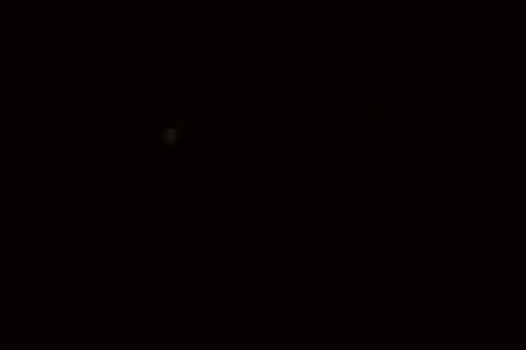 Bear Suck Hot Cock In Pov ..
