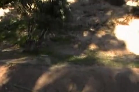 Bear Suck Hot Cock In Pov ..