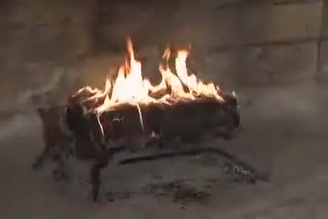 Bear Suck Hot Cock In Pov ..