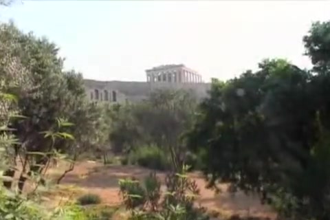 Greek Army Stud