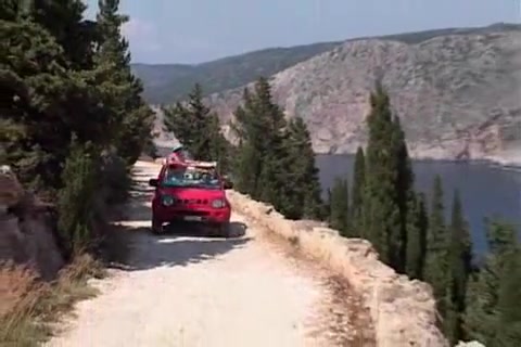 Greek Army Stud