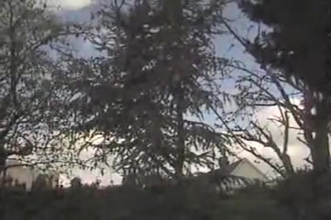Chad In Gloryhole Cum Dump